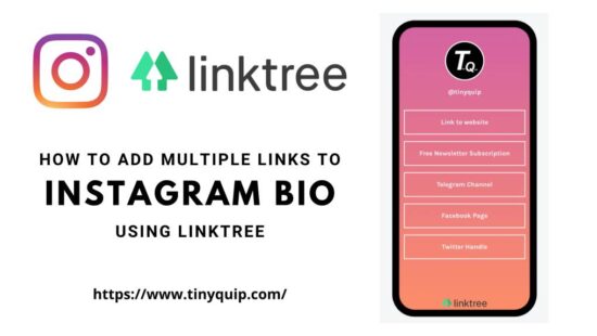 How to Add Multiple Links in the Instagram bio Using Linktree - Tiny Quip